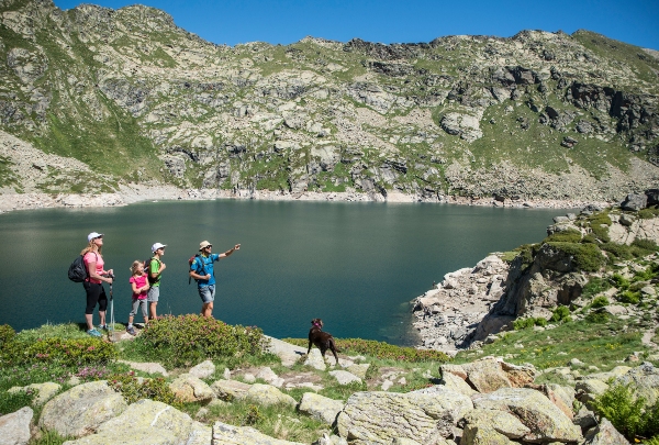 Tourisme gastronomique et modèles économiques